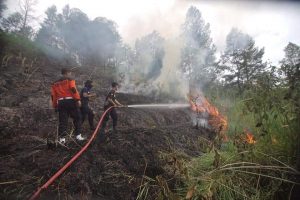 Lahan Belakang Kantor Wako Sungai Penuh Terbakar, Nyaris Merembet ke Rumah Warga