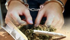 Salah Satu Karyawan Rumah Makan di Kota Sungai Penuh, Simpan Ganja di Bawah Rak Piring