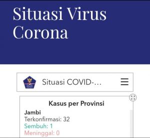 Hari lni, Provinsi Jambi Bertambah 11 Orang Pasien Positif Corona, Total 32 Orang
