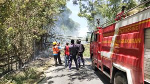 Kebakaran Lahan di Kerinci, Bambu Roboh Hingga Tutupi Jalan