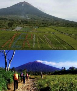 Deretan 7 Gunung Tertinggi di Indonesia, Kerinci Nomor Berapa?