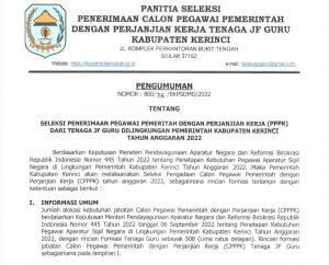 Kabar Gembira, Pemkab Kerinci Buka Seleksi PPPK, Berikut Syarat dan Ketentuannya