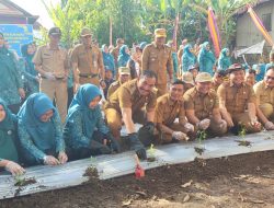 Tekan Inflasi Daerah, Pj Bupati Kerinci Asraf Canangkan Tanam Cabai Serentak di Kebun PKK
