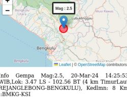 Terjadi Gempa Bumi Siang ini, Kali ini Lokasinya Tidak Jauh dari Kerinci Jambi