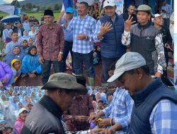 Diberi Cincin, Simbol Monadi – Murison Selalu Bersama Warga Kayu Aro Raya