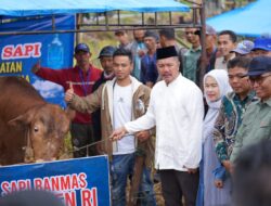 Bupati Monadi Serahkan Bantuan Sapi Kurban dari Presiden Prabowo Subianto di Desa Sungai Gelampeh