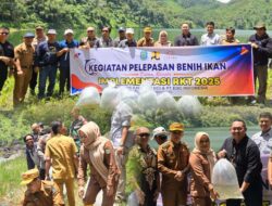 Penunjang Ekosistem Jalan Lempur Jangkat, Pemkab Kerinci Melalui PUPR Kerinci Bersama PT EDC Tebar Ribuan Benih Ikan