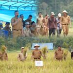 Bupati Monadi Panen Raya di Talang Kemulun, Produktivitas Petani Meningkat Dua Kali Lipat IMG-20251013-WA0023