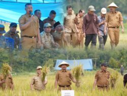 Bupati Monadi Panen Raya di Talang Kemulun, Produktivitas Petani Meningkat Dua Kali Lipat