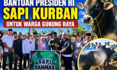 Bupati Monadi dan Wabup Murison Serahkan Sapi Bantuan Presiden RI