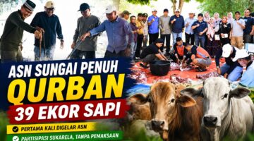ASN Sungai Penuh Qurban 39 Ekor Sapi