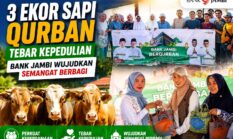 Tebar Kepedulian, Bank Jambi Salurkan Tiga Ekor Sapi Qurban untuk Masyarakat Sungai Penuh