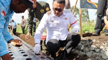 Wako Alfin Hadiri Gerakan Penanaman Bawang Putih Serentak di Kayu Aro