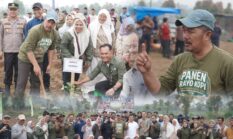 Tanam Perdana Kopi Arabika 2026, Dorong Kopi Kerinci Mendunia
